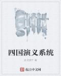 四国演义系统小说封面