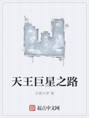 天王巨星之路小说封面